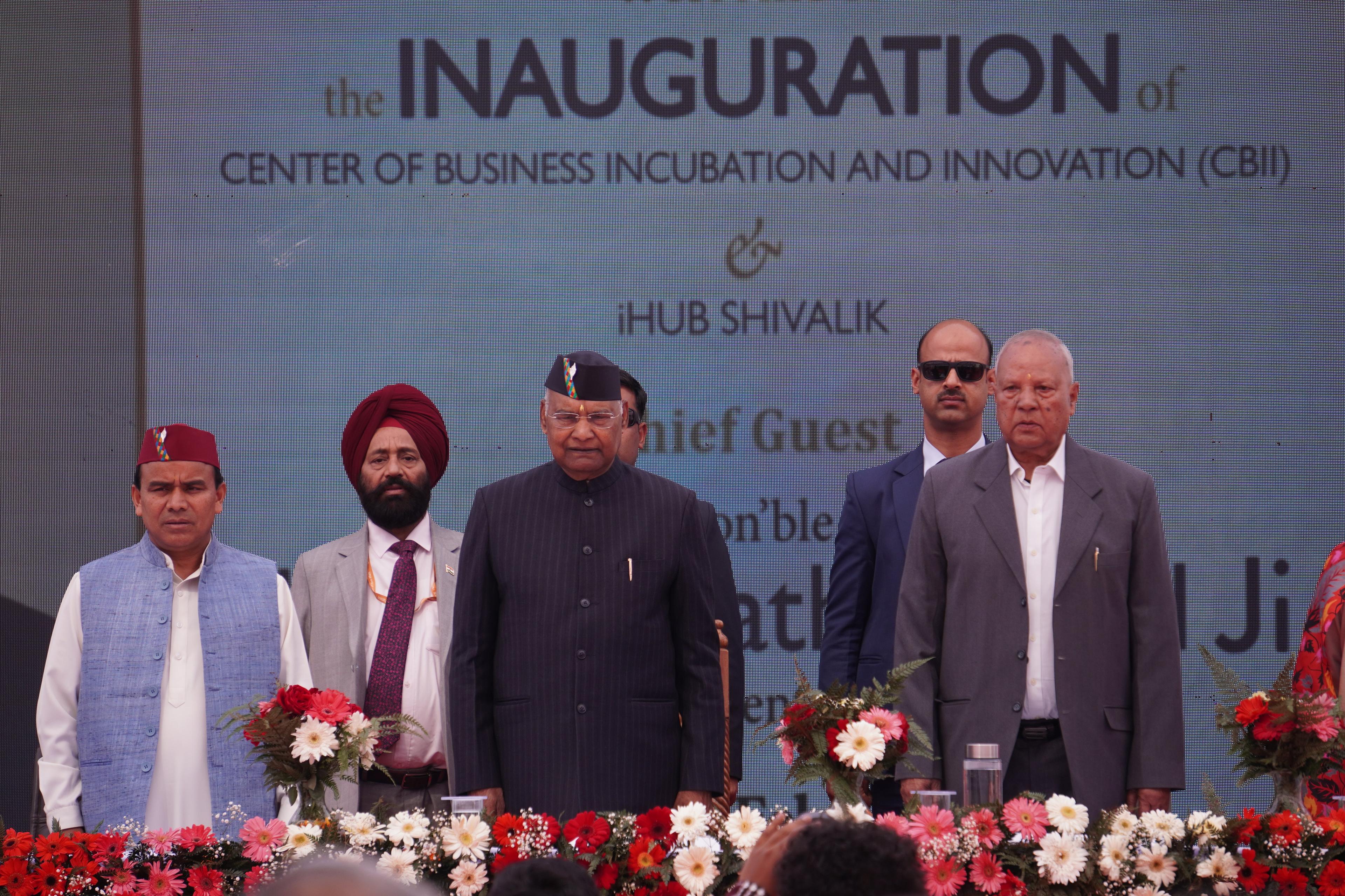 Government Support and Partnerships