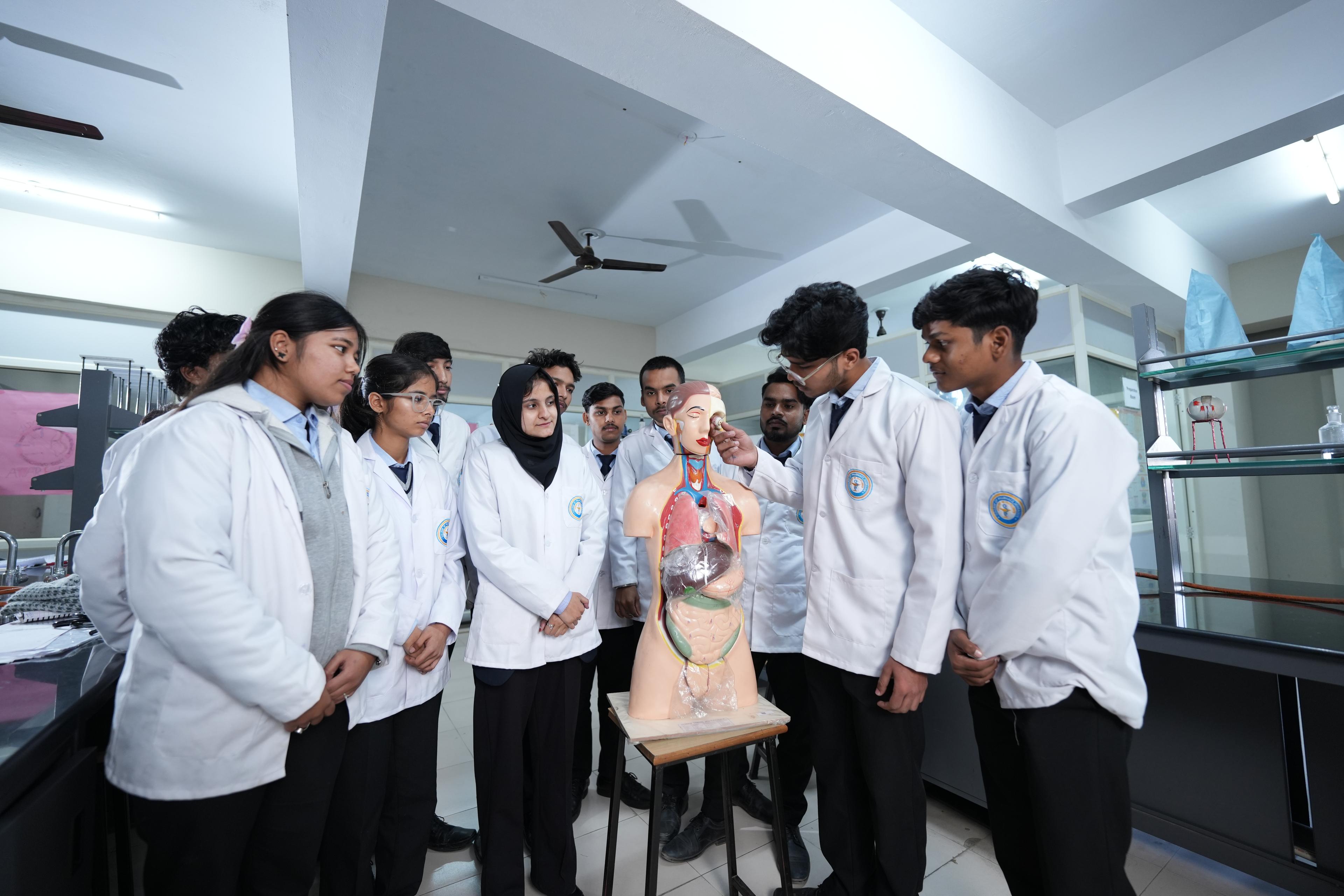 Student-led festivals celebrating creativity