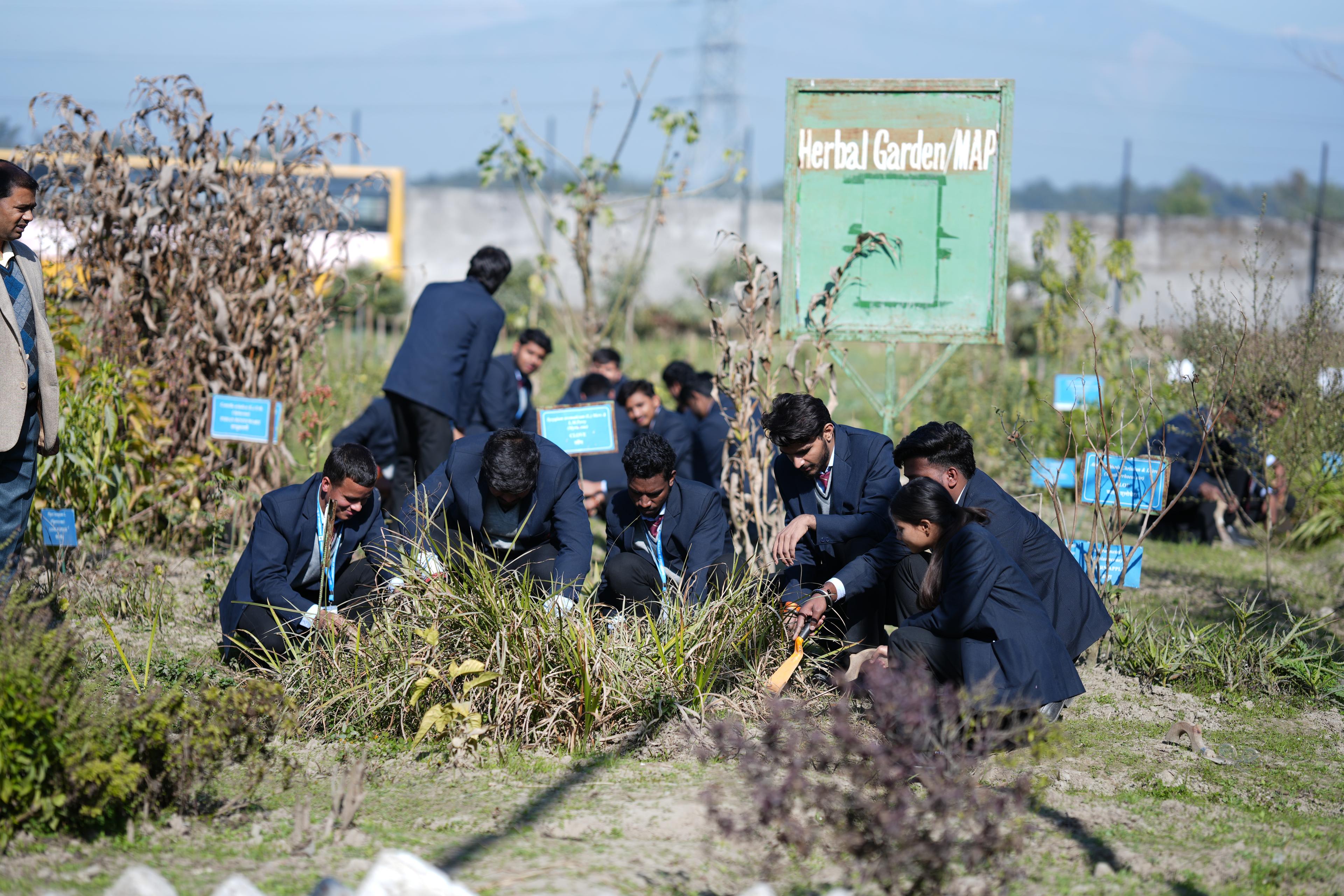 Student-led festivals celebrating creativity