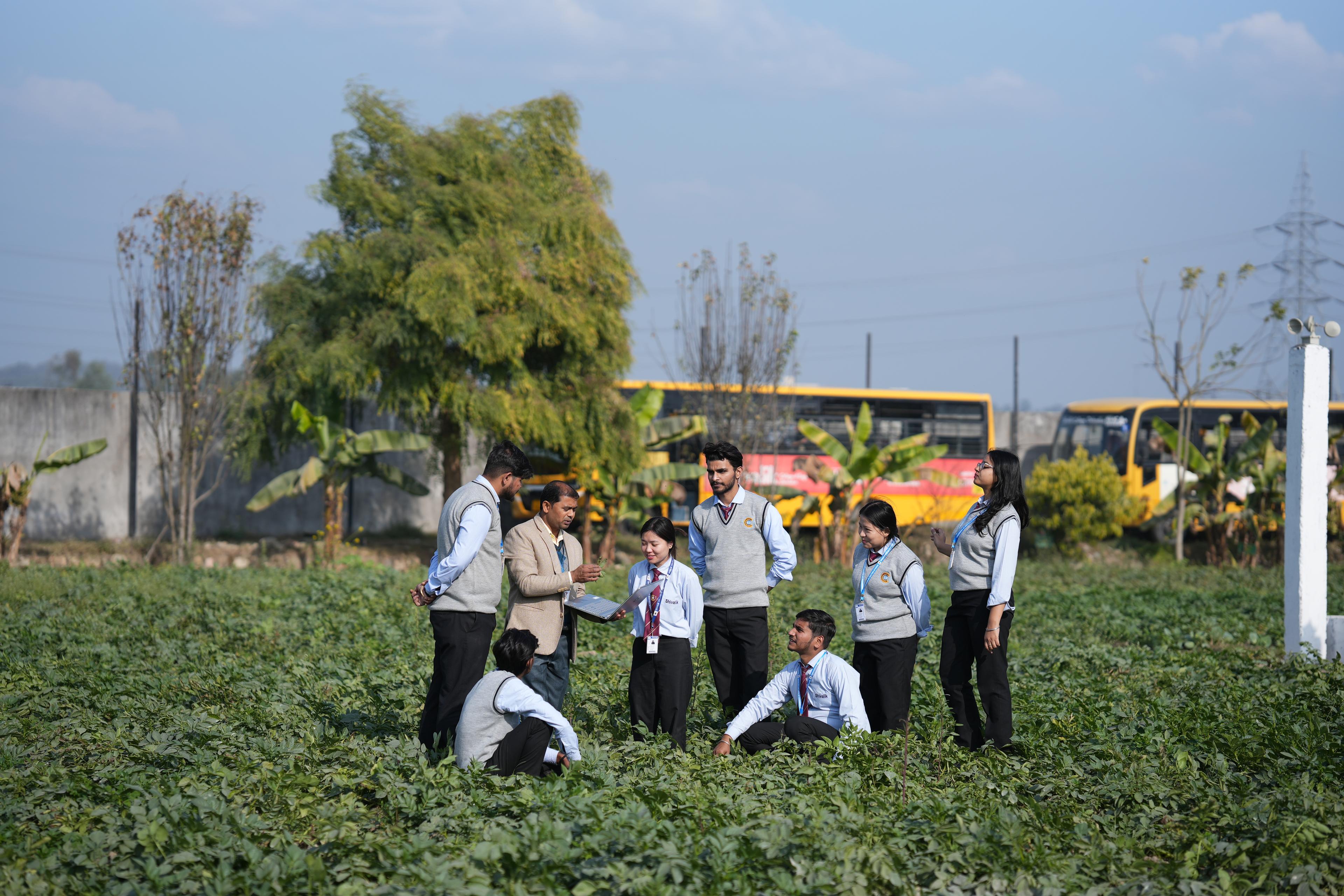 Student-led festivals celebrating creativity