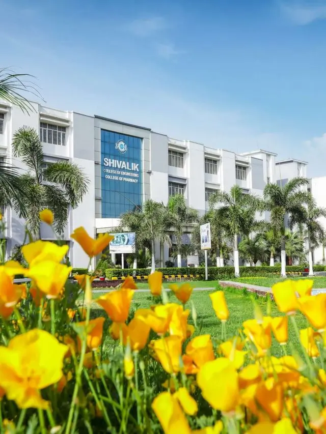 cropped-Best-Engineering-College-in-Dehradun-scaled-1