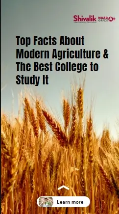 Screenshot_19-2-2025_11155_shivalikcollege.edu_.in_
