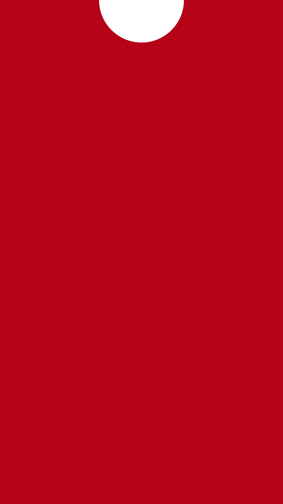 Simple Red Website Sales İnstagram Story (1)